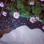 11385131_639467839519118_1214275985_a