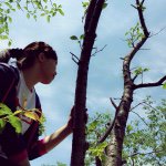 11269523_1597404030515962_314700783_a