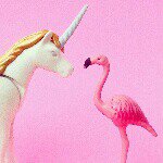 10729169_1501961536746637_369350536_a