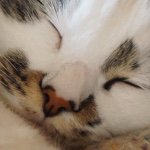 10956631_749308191834147_1906778407_a