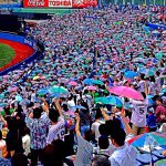 10986267_1422805614684990_1589015309_a