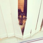 1688725_702440256501812_974522961_a