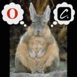 10843708_746816278730544_943595832_a