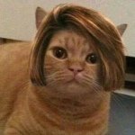 Profile_8906913_75sq_1399471740