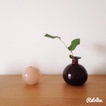 11117046_688870341236444_2096552602_a