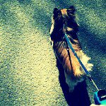 Profile_34732062_75sq_1333805967