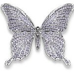 10499285_244003175797795_2022739812_a