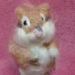 11265257_1579789638973360_1458895736_a