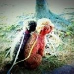 10362183_712603168786445_1685562223_a