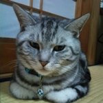 Profile_1129182_75sq_1293109684