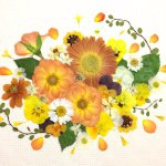 10891087_771617046219116_364767311_a