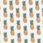 10369401_464518593700048_1995336678_a