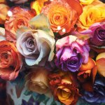 11337148_1073339456012988_1105899682_a