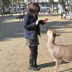 11380874_1678558032366968_1794205586_a