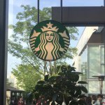 11313351_1600381316880241_573802472_a