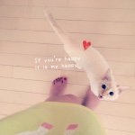 11356566_455201807982616_285483176_a