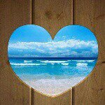 1941127_331591287014455_438850195_a