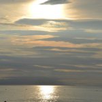 11256126_101364756866053_1002432564_a