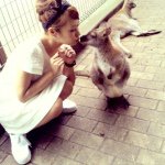 928777_638486139585576_428248235_a