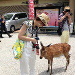 11008196_1619593514935699_730634793_a