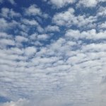 Profile_255422415_75sq_1393257382