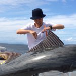 11032856_1424848891143009_26160417_a