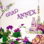 10643857_514479142015678_1271453680_a