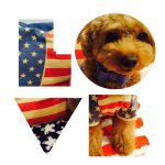 11263354_841261195968126_1268723972_a