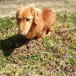 11098680_893492530714259_1718298018_a