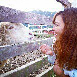 10691854_1540426202853932_1496929944_a