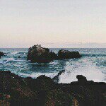 11023271_780211618723984_1577662072_a