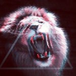 11142913_878144808890546_1080048951_a