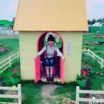 11176258_949398145084175_1522511719_a