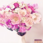 924482_474890162659725_461932971_a