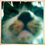 Profile_1093580387_75sq_1392380409