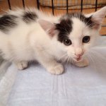 10731961_671732946276570_1572498788_a