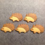 11123918_874856779224816_1162918323_a