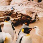 Profile_1190105982_75sq_1399335518