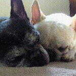 10536859_255769034628700_462695272_a