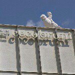 11259077_1601713143422189_1080587212_a