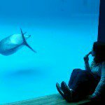 11240460_425557967612642_1664774106_a