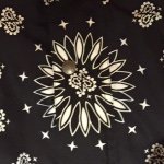 11273370_888208531217418_1073064383_a