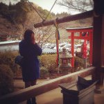 11008112_387890734716815_2118354516_a