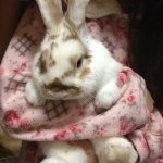 Profile_787522875_75sq_1386774435