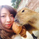 11186971_1576567099265866_990089921_a