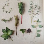 10808870_809108992465161_1149577892_a