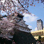 10955320_1648451772034274_416525545_a