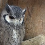 Profile_678806609_75sq_1396958114