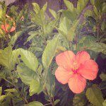 Profile_364464244_75sq_1371144437