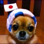 Profile_892530_75sq_1366373313